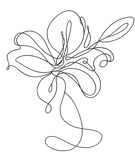 Line drawing of a flower